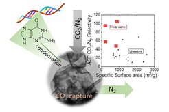 Figure 2. Summary of the CO2 sorption capabilities found from guanine derived carbons.