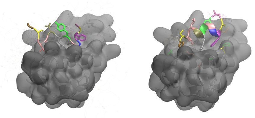 Computational Biophysics