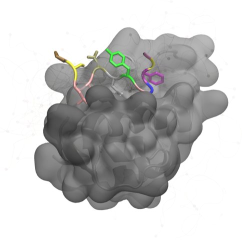 Computational Biophysics