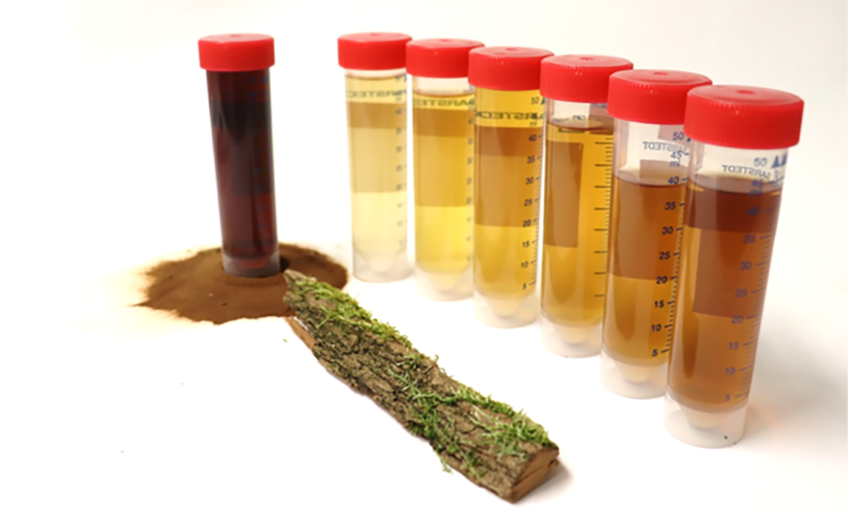 Biorefinery and Sustainable Chemistry Biorefinery and Sustainable Chemistry