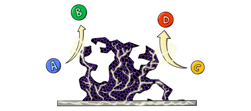 Advanced nanoporous carbon electrocatalysts