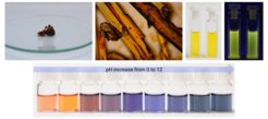 Resorcinol-derived molecules obtained in reactive eutectic media are the blue fluorophores with intensive green fluorescence; when treated further, the fluorophores become pH-indicator; excess of resorcinol crystalizes in the eutectic medium bearing fluorophore molecules on the surface