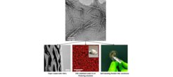 TEM image of positively charged nanocellulose crystals and their applications for paper-coating, as stabilizers for Pickering emulsions and for self-standing transparent films