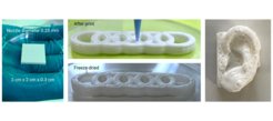 Objects printed with the ink based on the CNC-stabilized Pickering emulsions
