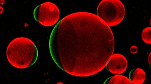 Membrane Biophysics and Artificial Cells