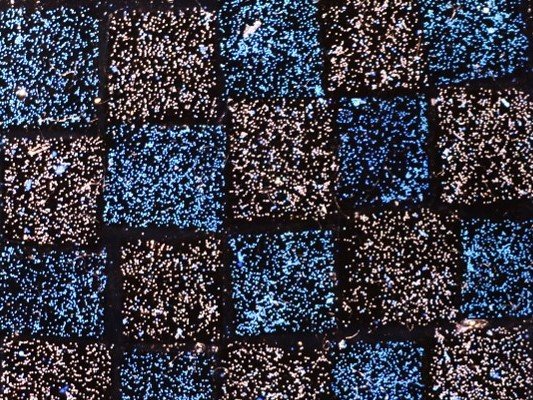 Polymer Self-Assembly