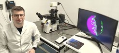 Dr. Agustín Mangiarotti hat mit einem konfokalen Mikroskop beobachtet, wie biomolekulare Kondensate bevorzugt an die weniger dicht gepackten Bereiche phasenseparierter künstlicher Membranen binden