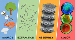 Copyright © 2023 the authors, published under 10.1021/acs.chemrev.2c00836. Licensed under the Creative Commons CC BY 4.0 license