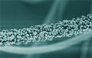 Advanced Nanofibers
