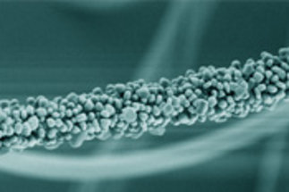 Advanced Nanofibers