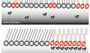 Phosphoinositides and Phosphoinositide 3-kinase