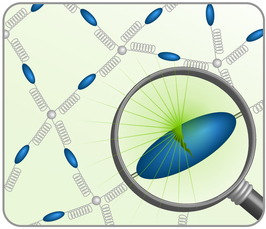 Multiscale Mechanochemistry & Mechanobiology - From Molecular Mechanisms to Smart Materials