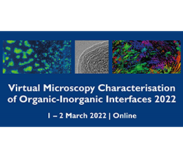 6th "Microscopy characterisation of organic-inorganic interfaces" 6th "Microscopy characterisation of organic-inorganic interfaces"