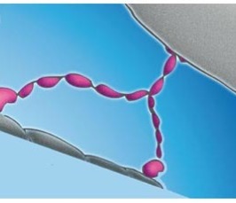 Multiscale Motility of Molecular Motors