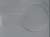 deformed vesicle