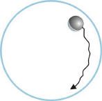 falling-ball viscosimetry