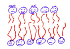 The membrane group